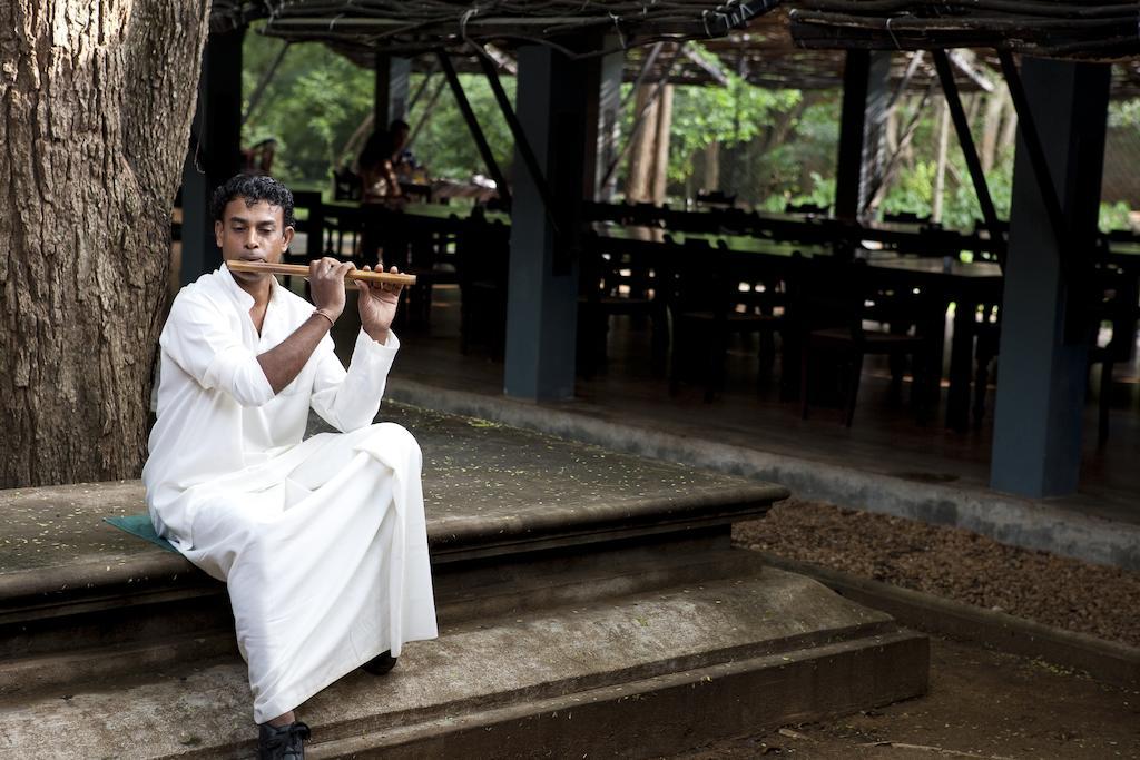 โรงแรมสิกิริยา ภายนอก รูปภาพ Sri Lankan musician playing the kithcheri
