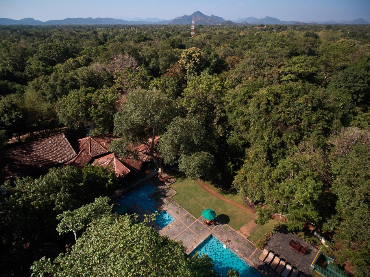 โรงแรมสิกิริยา ภายนอก รูปภาพ Sigiriya, Sri Lanka