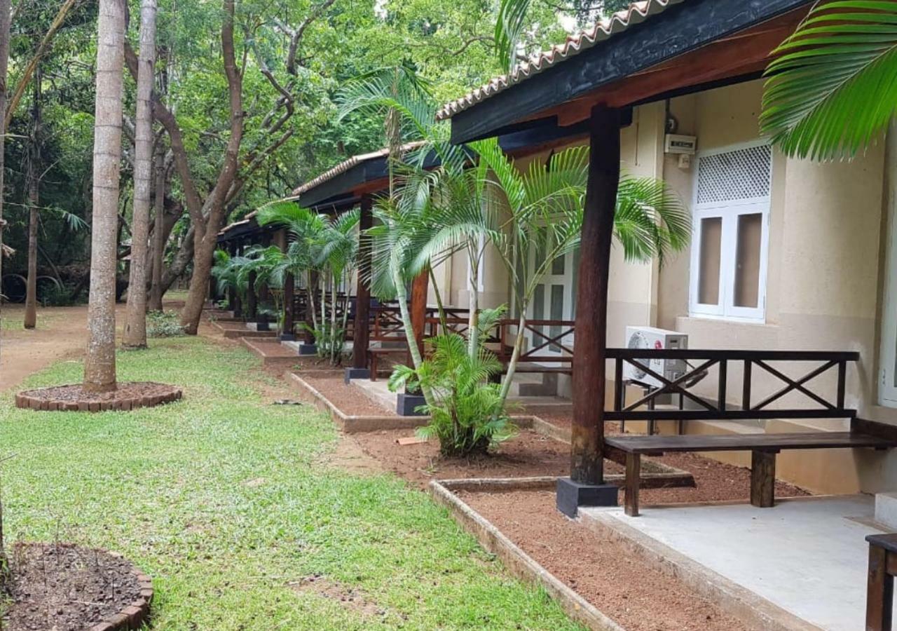 โรงแรมสิกิริยา ภายนอก รูปภาพ The hotel rooms